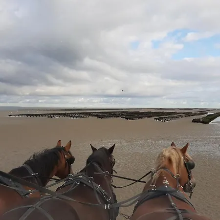 Semesterbostad Lebasladin *