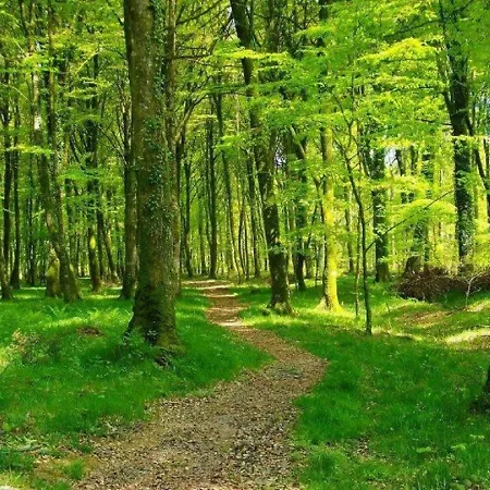 Lebasladin Hébergement de vacances Lison